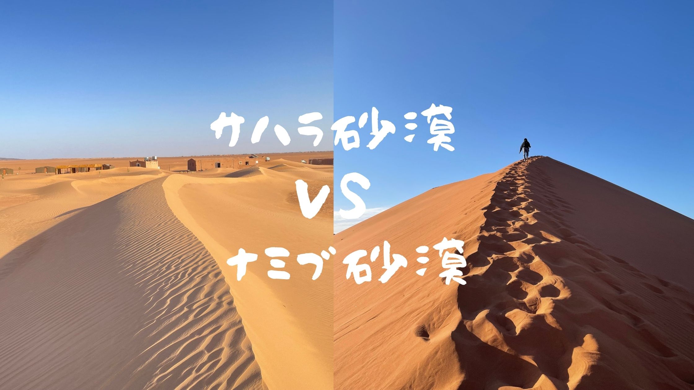 【完全主観】サハラ砂漠とナミブ砂漠どっちがよかったか徹底比較！