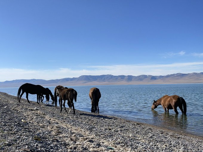 【世界一周】キルギスはビシュケクへ！ソンクル湖で乗馬修行も
