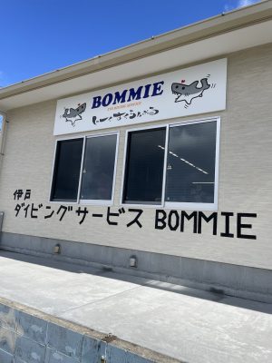 館山ダイビング(伊戸、波左間、西川名)