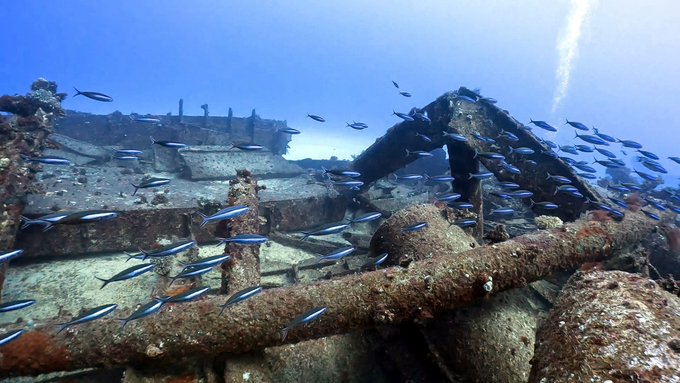 世界一の透明度で潜る！心も体も抜け殻になったサイパン・ロタダイビング