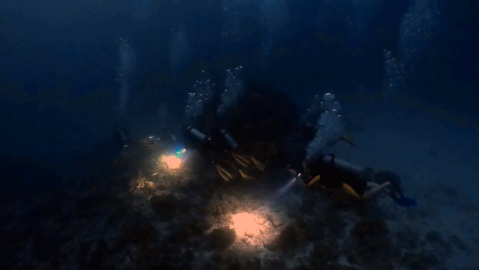 シミランで初めてのダイビングクルーズ!リチェリューロックの魚影がすごすぎる
